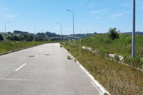 Helårsgrund i Alcobaca, Leiria, Alcobaca - € 7.250.000 | Ref: AV-PBI-1253 - foto 5