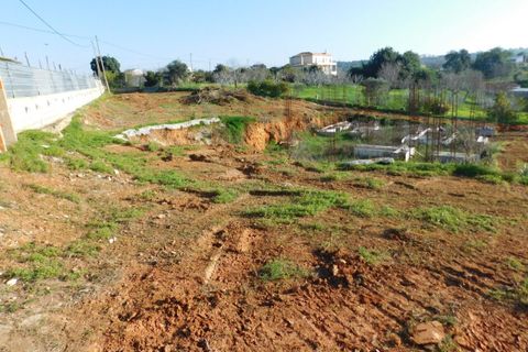 Helårsgrund i Lagoa, Faro, Lagoa - € 1.450.000 | Ref: AV-PBI-749 - foto 4