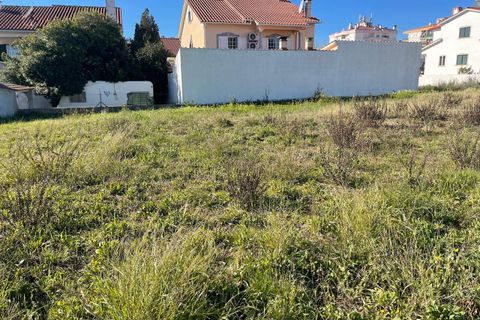 Helårsgrund i Entroncamento, Santarem, Entroncamento - € 115.000 | Ref: SF-SAFTI:006289 - foto 8