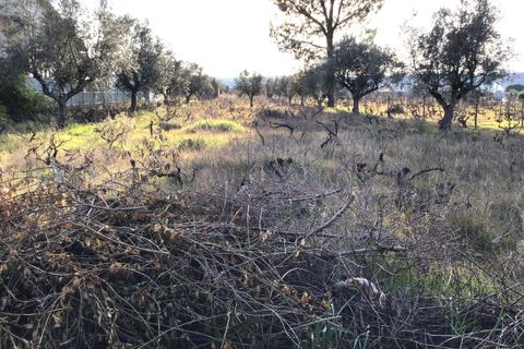 Helårsgrund i Abrantes, Santarem, Abrantes - € 45.000 | Ref: SF-SAFTI:006296 - foto 2