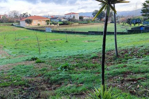 Helårsgrund i Ponte de Lima, Viana do Castelo, Ponte de Lima - € 56.000 | Ref: SF-SAFTI:006297 - foto 6