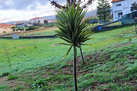 Helårsgrund i Ponte de Lima, Viana do Castelo, Ponte de Lima - € 56.000 | Ref: SF-SAFTI:006297 - foto 7