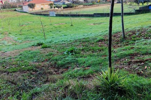 Helårsgrund i Ponte de Lima, Viana do Castelo, Ponte de Lima - € 56.000 | Ref: SF-SAFTI:006297 - foto 8