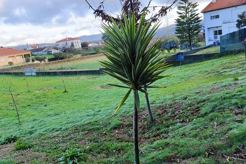 Helårsgrund i Ponte de Lima, Viana do Castelo, Ponte de Lima - € 56.000 | Ref: SF-SAFTI:006297 - foto 9