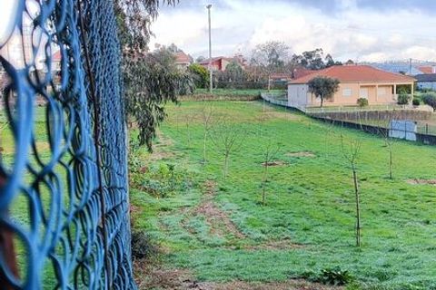 Helårsgrund i Ponte de Lima, Viana do Castelo, Ponte de Lima - € 56.000 | Ref: SF-SAFTI:006297 - foto 10