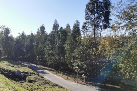 Terra a Ponte, Braga, Ponte - € 85.000 | Ref: SF-SAFTI:002859 - foto 2