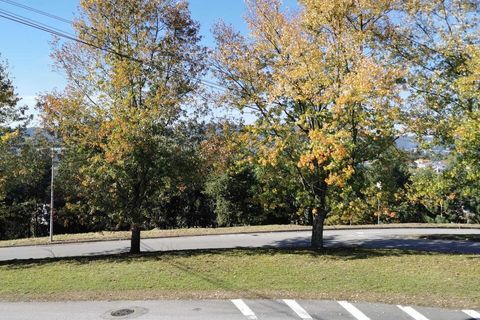 Terra a Ponte, Braga, Ponte - € 85.000 | Ref: SF-SAFTI:002859 - foto 4