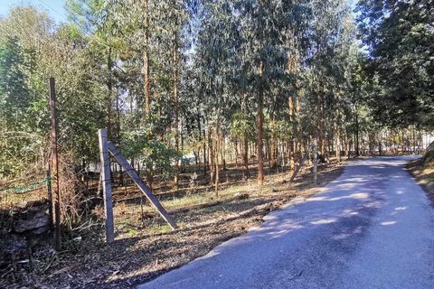Terra a Ponte, Braga, Ponte - € 85.000 | Ref: SF-SAFTI:002859 - foto 8