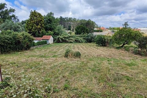Helårsgrund i Parceiros e Azoia, Leiria, Parceiros e Azoia - € 68.000 | Ref: SF-SAFTI:005346 - foto 4