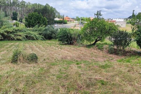 Helårsgrund i Parceiros e Azoia, Leiria, Parceiros e Azoia - € 68.000 | Ref: SF-SAFTI:005346 - foto 6