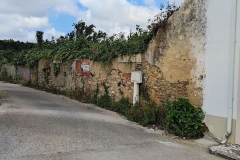 Helårsgrund i Parceiros e Azoia, Leiria, Parceiros e Azoia - € 68.000 | Ref: SF-SAFTI:005346 - foto 7