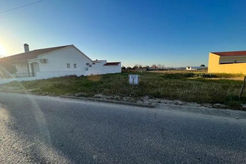 Helårsgrund i Alpiarca, Santarem, Alpiarca - € 55.000 | Ref: SF-SAFTI:004895 - foto 2