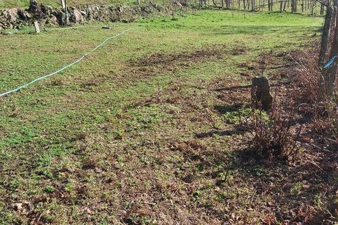 Helårsgrund i Melgaco, Viana do Castelo, Melgaco - € 35.000 | Ref: SF-SAFTI:002722 - foto 5