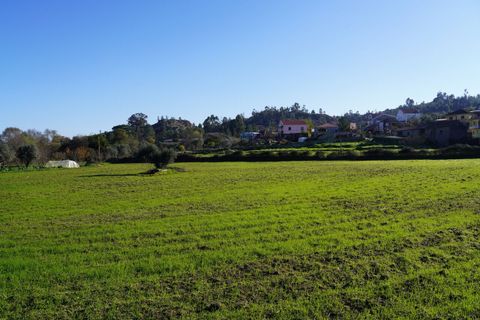 Farm i Arcozelo, Guarda, Arcozelo - € 150.000 | Ref: SF-SAFTI:002977 - foto 3