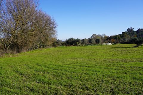 Farm i Arcozelo, Guarda, Arcozelo - € 150.000 | Ref: SF-SAFTI:002977 - foto 7