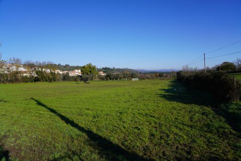 Farm i Arcozelo, Guarda, Arcozelo - € 150.000 | Ref: SF-SAFTI:002977 - foto 8