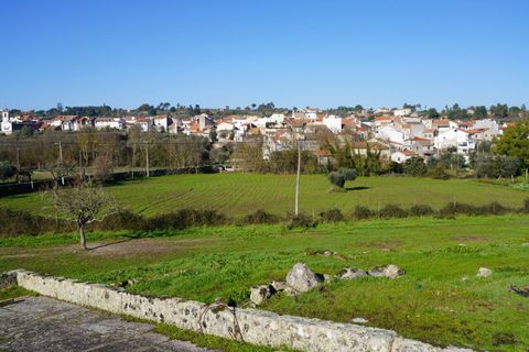 Farm i Arcozelo, Guarda, Arcozelo - € 150.000 | Ref: SF-SAFTI:002977 - foto 11