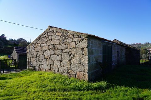 Farm i Arcozelo, Guarda, Arcozelo - € 150.000 | Ref: SF-SAFTI:002977 - foto 12
