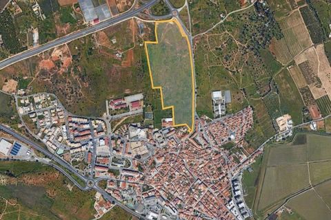 Helårsgrund i Lagoa, Faro, Lagoa - € 6.500.000 | Ref: SF-SAFTI:003146 - foto 4