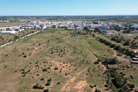Helårsgrund i Lagoa, Faro, Lagoa - € 6.500.000 | Ref: SF-SAFTI:003146 - foto 6