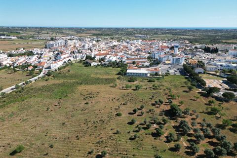 Helårsgrund i Lagoa, Faro, Lagoa - € 6.500.000 | Ref: SF-SAFTI:003146 - foto 8