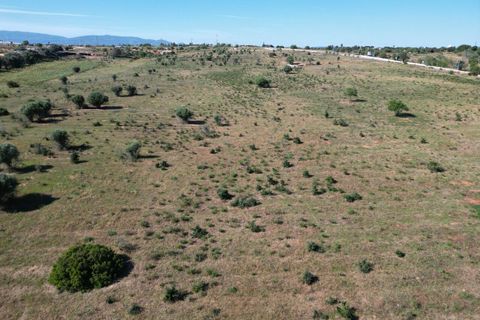 Helårsgrund i Lagoa, Faro, Lagoa - € 6.500.000 | Ref: SF-SAFTI:003146 - foto 9