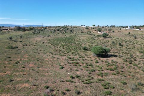 Helårsgrund i Lagoa, Faro, Lagoa - € 6.500.000 | Ref: SF-SAFTI:003146 - foto 10