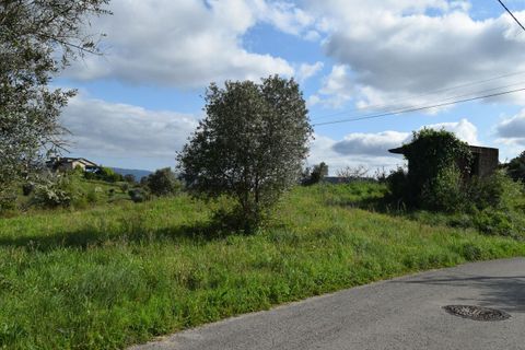 Helårsgrund i Coimbra, Coimbra, Coimbra - € 85.000 | Ref: SF-SAFTI:004884 - foto 4