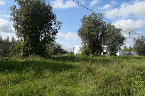 Helårsgrund i Coimbra, Coimbra, Coimbra - € 85.000 | Ref: SF-SAFTI:004884 - foto 6