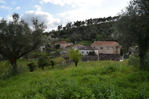 Helårsgrund i Coimbra, Coimbra, Coimbra - € 85.000 | Ref: SF-SAFTI:004884 - foto 7