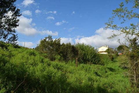 Helårsgrund i Coimbra, Coimbra, Coimbra - € 85.000 | Ref: SF-SAFTI:004884 - foto 11