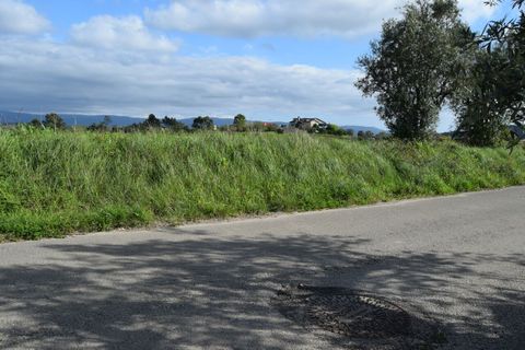 Helårsgrund i Coimbra, Coimbra, Coimbra - € 85.000 | Ref: SF-SAFTI:004884 - foto 12