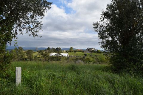 Helårsgrund i Coimbra, Coimbra, Coimbra - € 85.000 | Ref: SF-SAFTI:004884 - foto 13