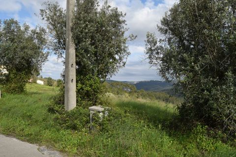 Helårsgrund i Coimbra, Coimbra, Coimbra - € 85.000 | Ref: SF-SAFTI:004884 - foto 14