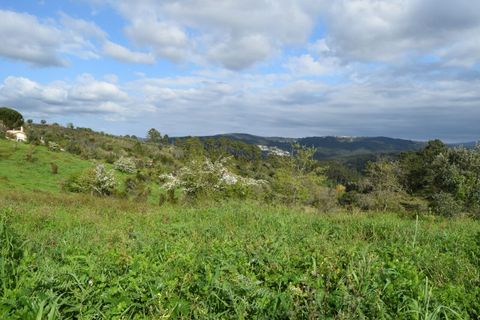 Helårsgrund i Coimbra, Coimbra, Coimbra - € 85.000 | Ref: SF-SAFTI:004884 - foto 15