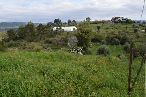 Helårsgrund i Coimbra, Coimbra, Coimbra - € 85.000 | Ref: SF-SAFTI:004884 - foto 17