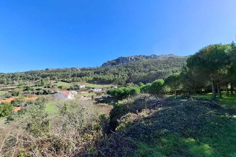 Helårsgrund i Lamas e Cercal, Lisbon, Lamas e Cercal - € 152.000 | Ref: SF-SAFTI:007312 - foto 9