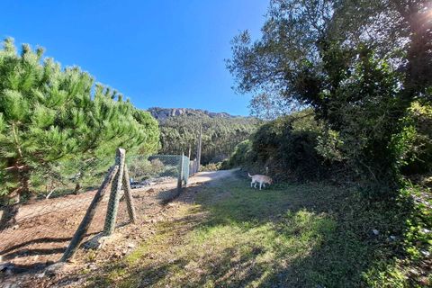 Helårsgrund i Lamas e Cercal, Lisbon, Lamas e Cercal - € 152.000 | Ref: SF-SAFTI:007312 - foto 10