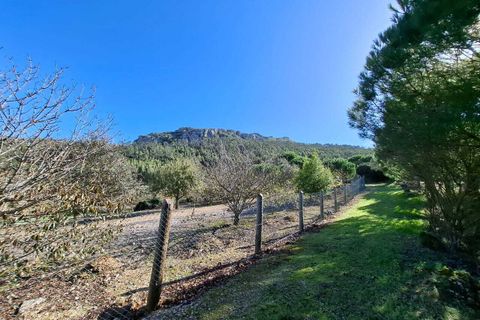 Helårsgrund i Lamas e Cercal, Lisbon, Lamas e Cercal - € 152.000 | Ref: SF-SAFTI:007312 - foto 11