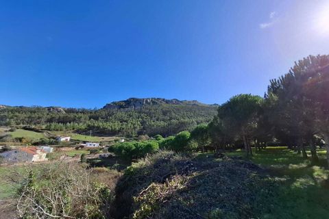 Helårsgrund i Lamas e Cercal, Lisbon, Lamas e Cercal - € 152.000 | Ref: SF-SAFTI:007312 - foto 12