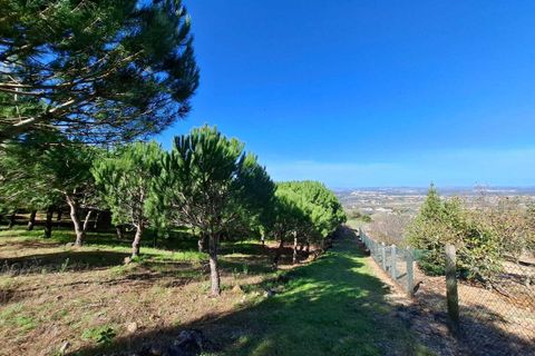 Helårsgrund i Lamas e Cercal, Lisbon, Lamas e Cercal - € 152.000 | Ref: SF-SAFTI:007312 - foto 16