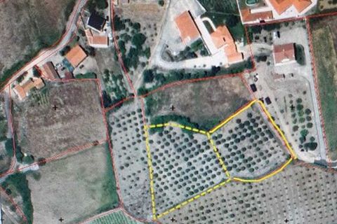 Helårsgrund i Lamas e Cercal, Lisbon, Lamas e Cercal - € 152.000 | Ref: SF-SAFTI:007312 - foto 18
