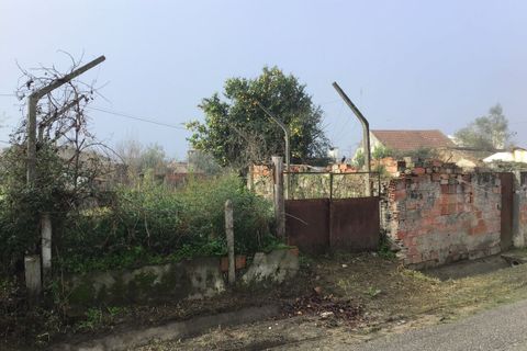 Villa i Alvega e Concavada, Santarem, Alvega e Concavada - € 40.000 | Ref: SF-SAFTI:006267 - foto 11