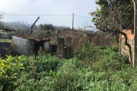 Villa i Alvega e Concavada, Santarem, Alvega e Concavada - € 40.000 | Ref: SF-SAFTI:006267 - foto 12