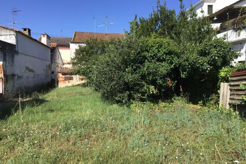 Erhvervsejendom i Abrantes, Santarem, Abrantes - € 80.000 | Ref: SF-SAFTI:006215 - foto 2