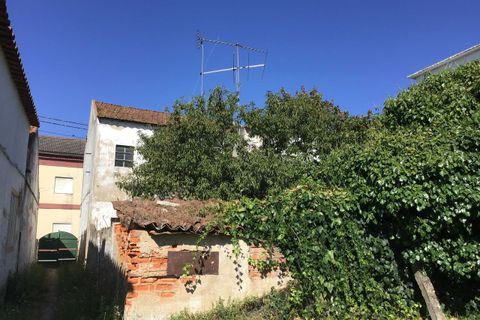 Erhvervsejendom i Abrantes, Santarem, Abrantes - € 80.000 | Ref: SF-SAFTI:006215 - foto 4