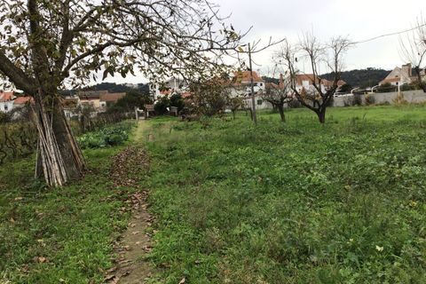 Erhvervsejendom i Abrantes, Santarem, Abrantes - € 80.000 | Ref: SF-SAFTI:006215 - foto 6