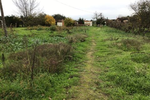 Erhvervsejendom i Abrantes, Santarem, Abrantes - € 80.000 | Ref: SF-SAFTI:006215 - foto 9