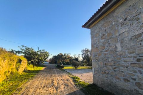 Farm i Lousada, Porto, Lousada - € 990.000 | Ref: SF-SAFTI:006097 - foto 4