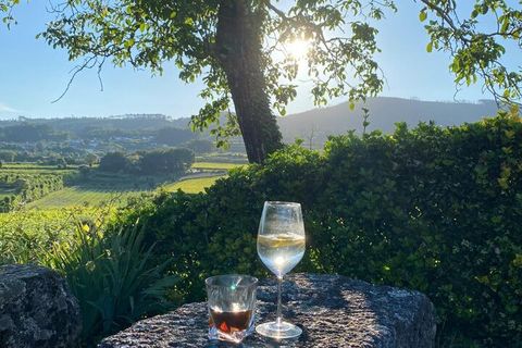 Farm i Lousada, Porto, Lousada - € 990.000 | Ref: SF-SAFTI:006097 - foto 22